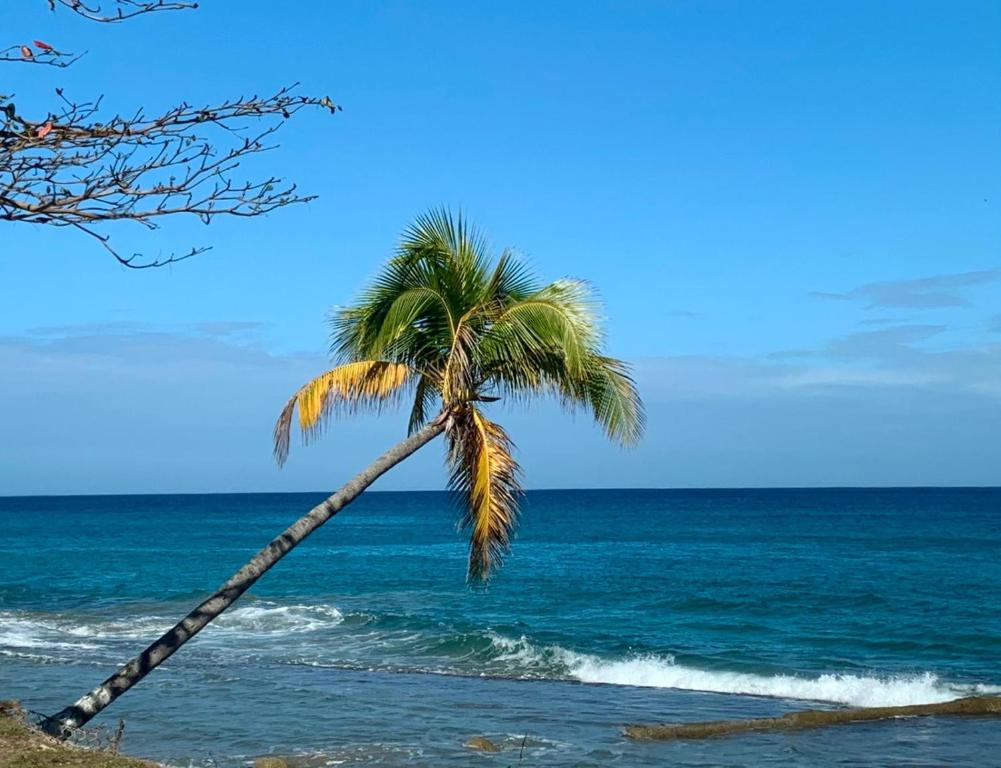 Atlantic Wave Villa, Aguada (precios actualizados 2026)
