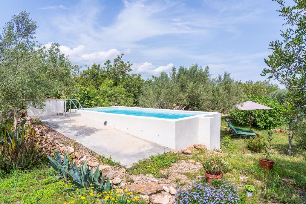 a swimming pool in a yard with a garden at Casa en olivera a 3 km de la costa in Perelló