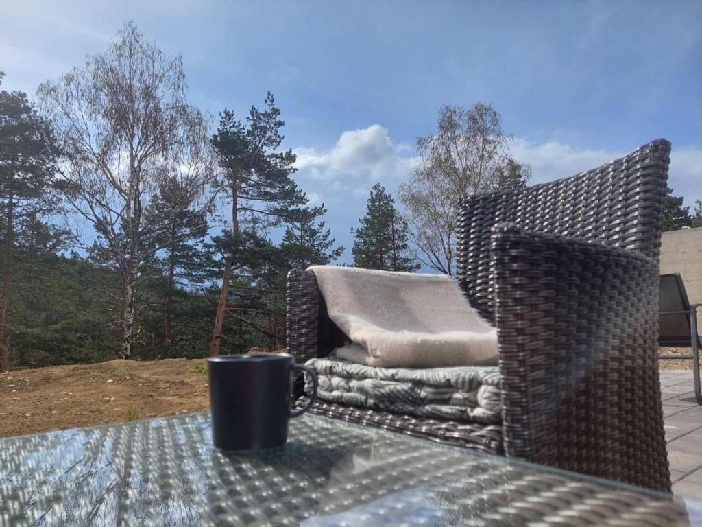 Posezení v ubytování Apartman SRNA, Vila JEZERO