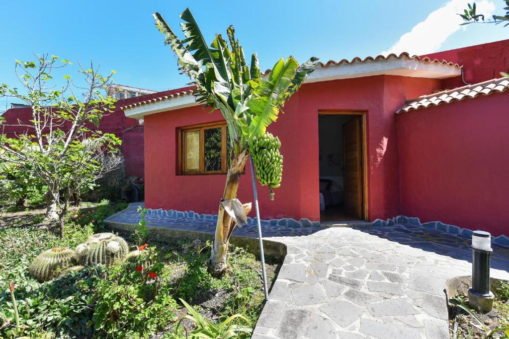 Zahrada ubytování Traditional Arucas by VillaGranCanaria
