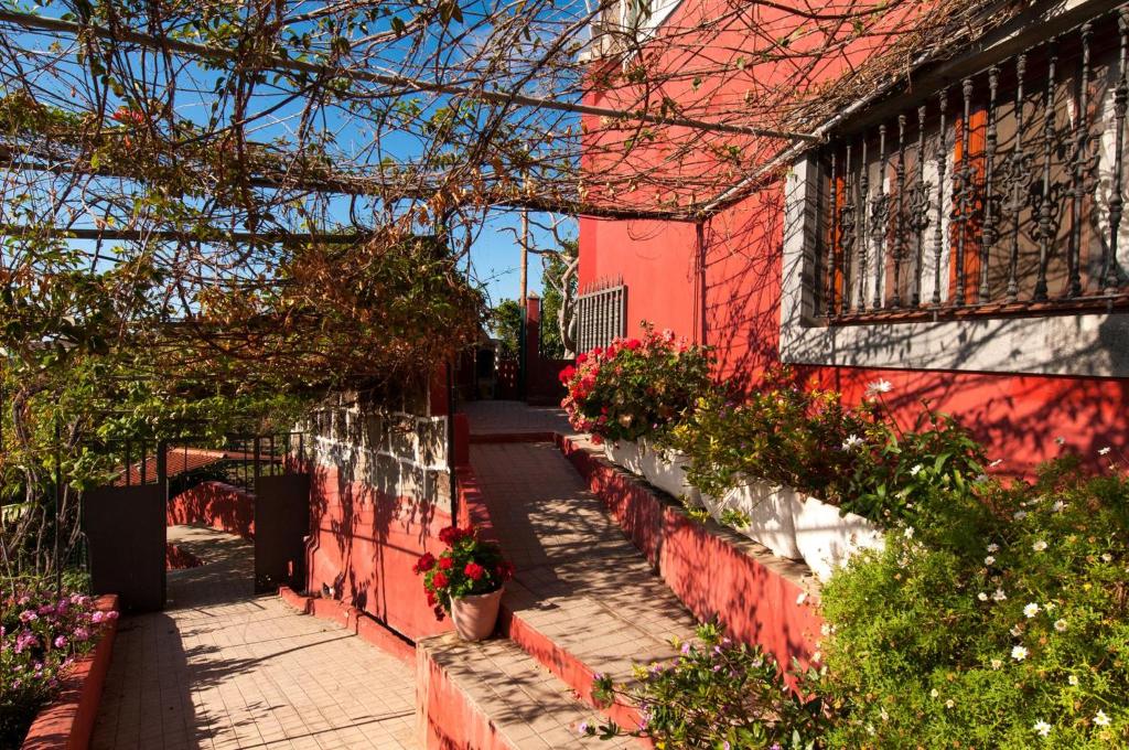 Zahrada ubytování Traditional Arucas by VillaGranCanaria