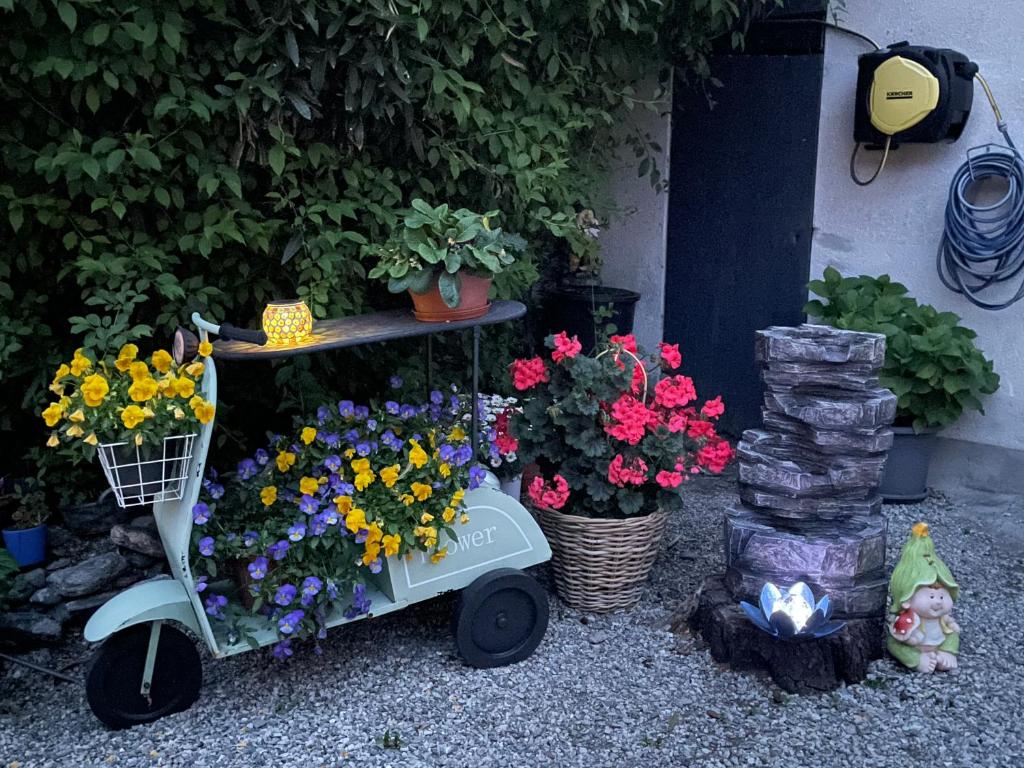Zahrada ubytování Casa Realba
