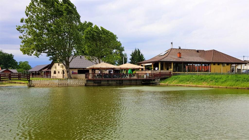 Výhled na řeku, která protéká v blízkosti apartmánu