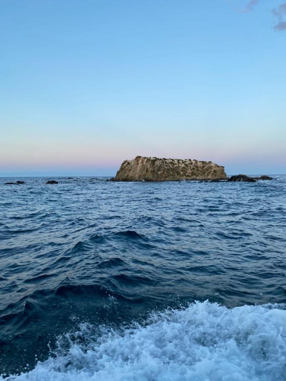 Photo from Iaia Carmen in Tabarca, Valencia Community, Spain