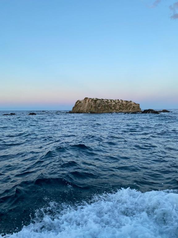 Photo de la galerie de l'établissement Iaia Carmen, à Tabarca