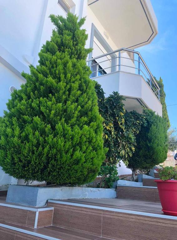Giardino di GB Rooms