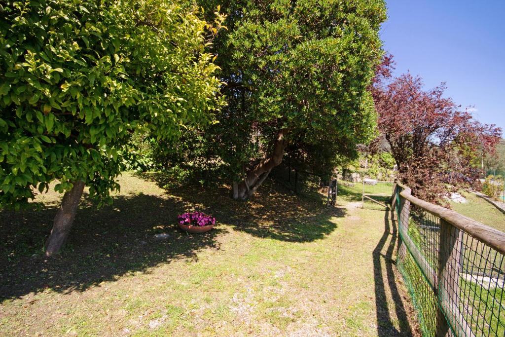 A garden outside Fattorialmare Blu