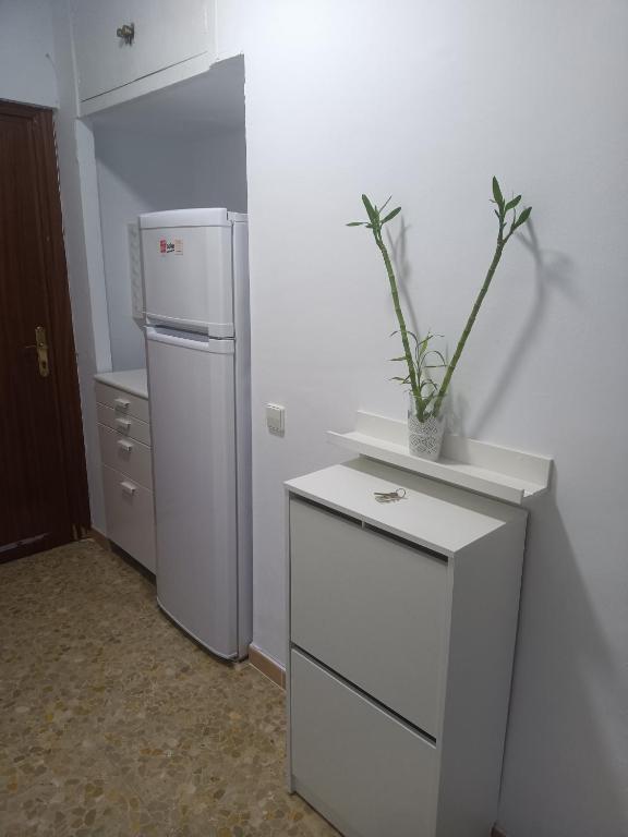 Kuchyňa alebo kuchynka v ubytovaní Bonito estudio, Torremolinos, COSTA DEL SOL