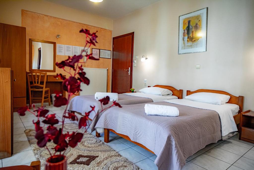 Tsironis Rooms, Ιωάννινα – Ενημερωμένες τιμές για το 2024