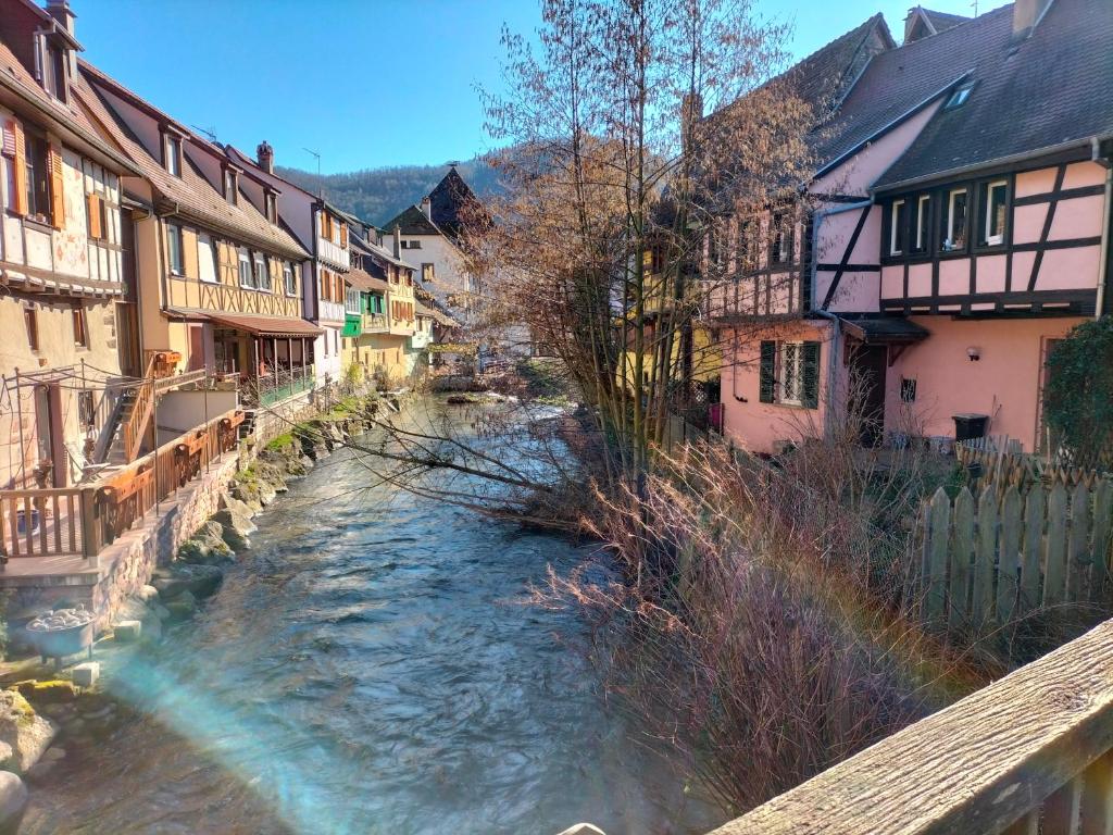 Coeur d'Elsass "RAPP"appartement avec parking - 17