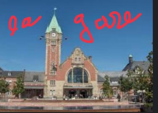 Coeur d'Elsass "RAPP"appartement avec parking - 19