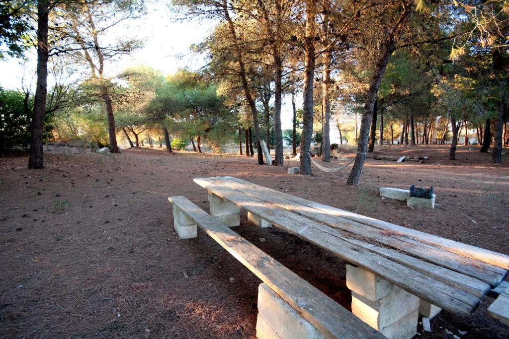 Příroda nedaleko apartmánu