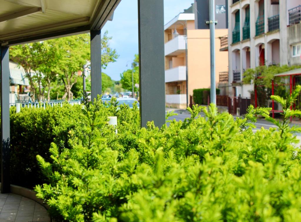 Ogród w obiekcie Hotel Cristina