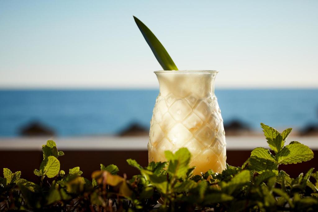 Bebidas em Dom Jose Beach Hotel (Plus)