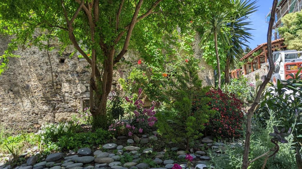 a garden with flowers and a tree in front of a stone wall at Pension Irene in Sougia