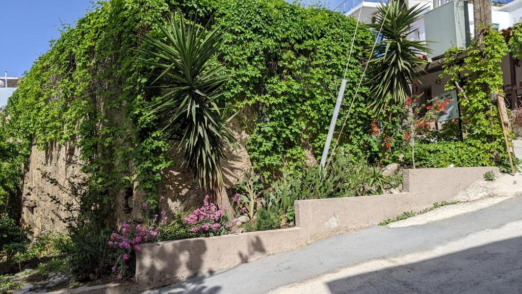 a retaining wall with stairs and flowers next to a building at Pension Irene in Sougia