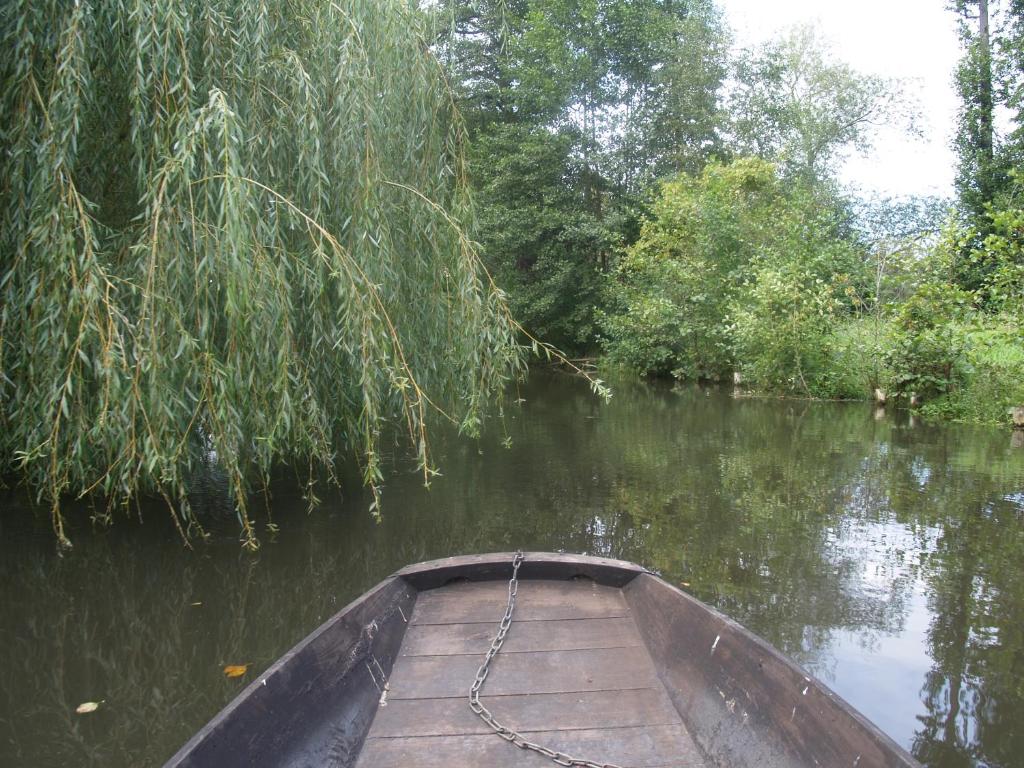 WassermannApartments - 11