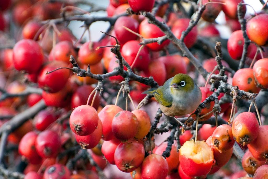 Archway Motels & Chalets - Resim 29