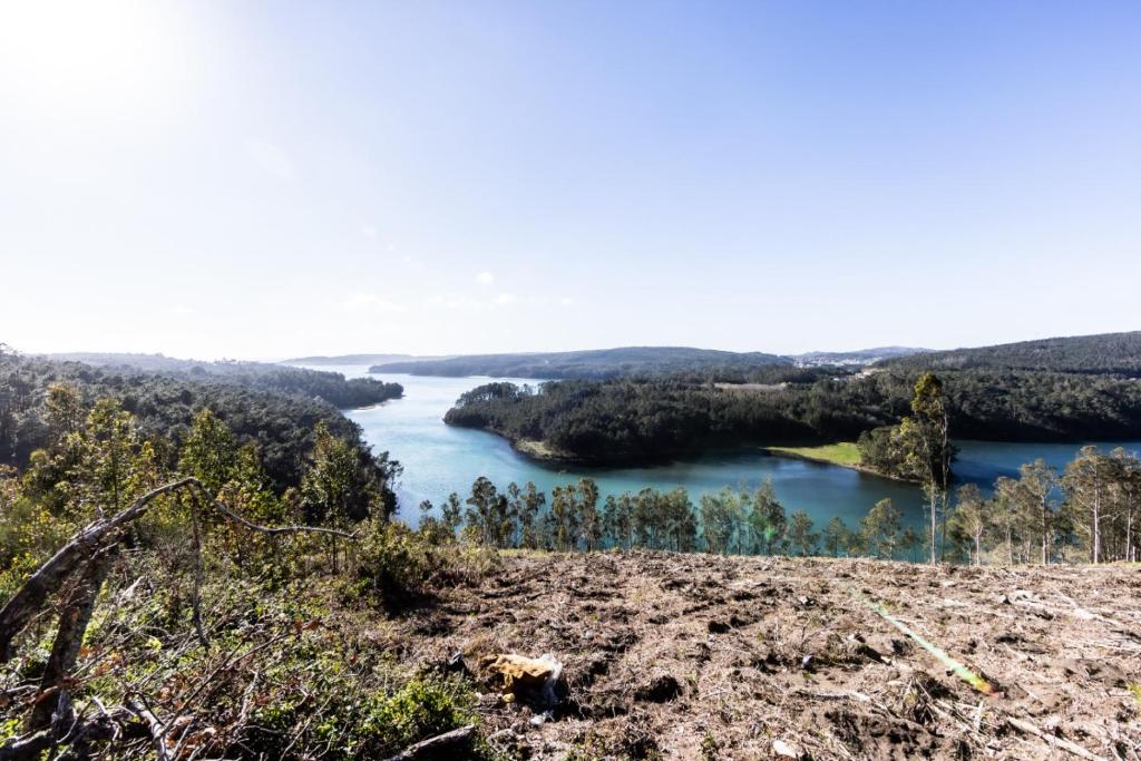 Príroda v okolí apartmánu