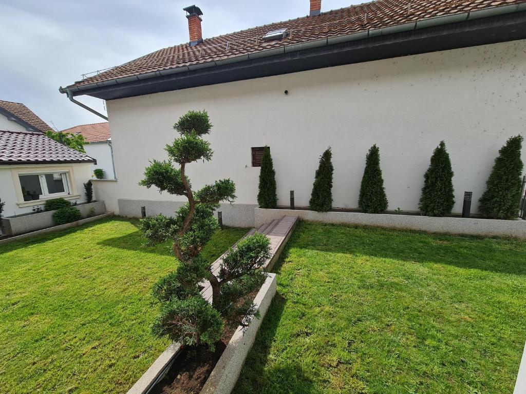 Zahrada ubytování Vila Cander