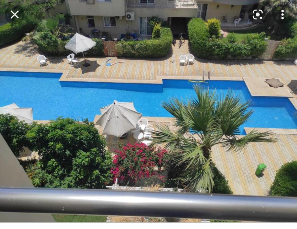Pogled na bazen u objektu North coast Sedra Resort Chalet قريه سيدرا الساحل الشمالي علي البحر شاليه ثلاث غرف ili u blizini