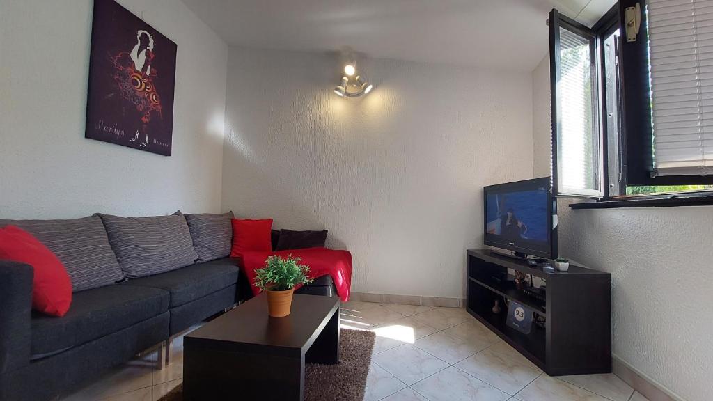 salon z kanapą i telewizorem w obiekcie Apartment Červar w Poreču
