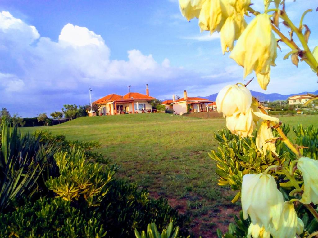 MARONIA Villa - Maison De Deux Chambres