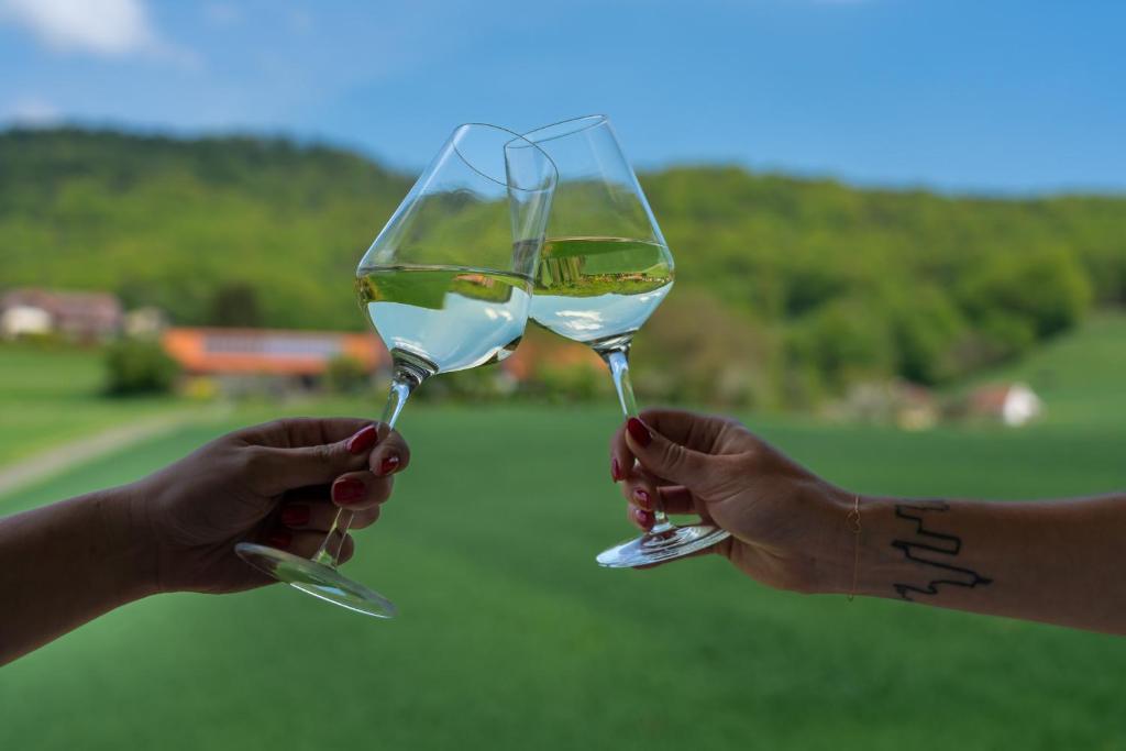 Landhaus Bad Gleichenberg - 7