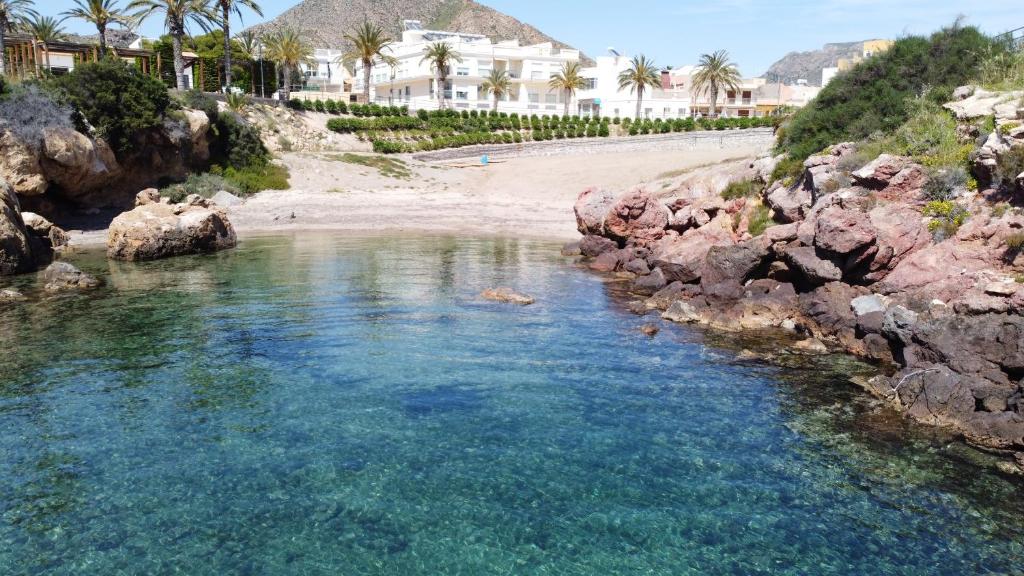 una playa con palmeras y un cuerpo de agua en Beach Blessing, en Isla Plana