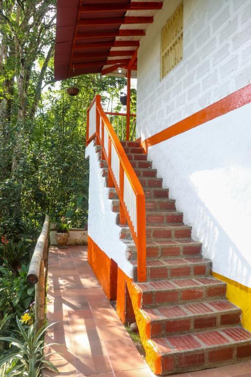 Fotografie z fotogalerie ubytování Finca Los Abuelos - La Planta v destinaci Concepción