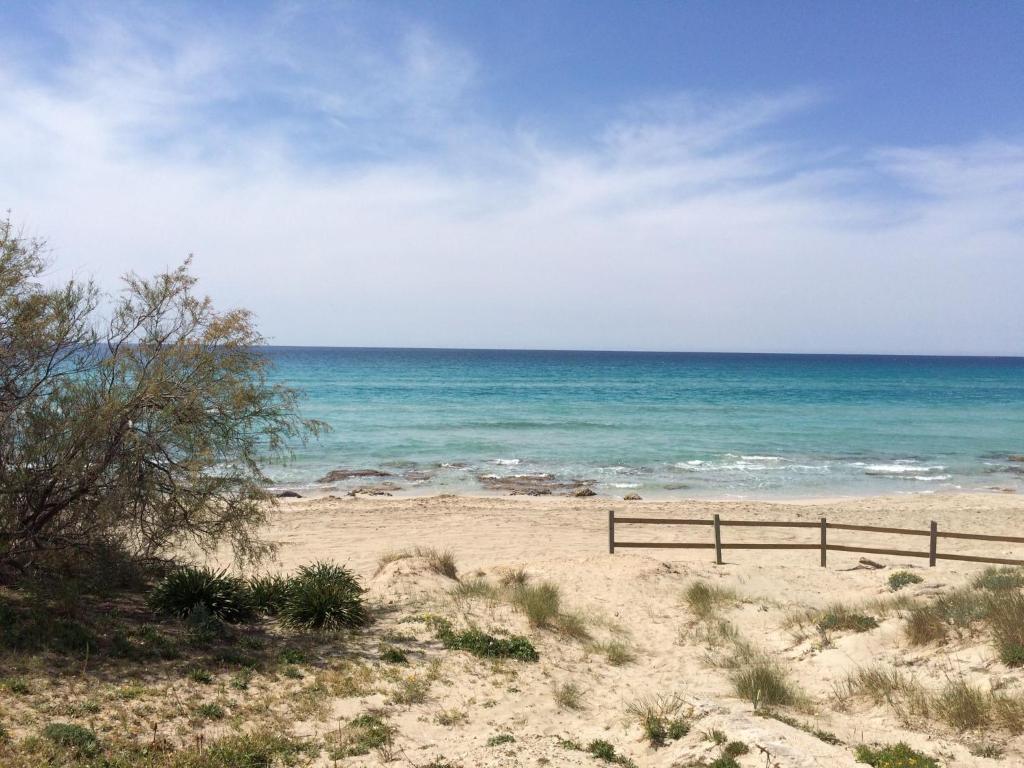 En strand vid eller i närheten av lägenheten