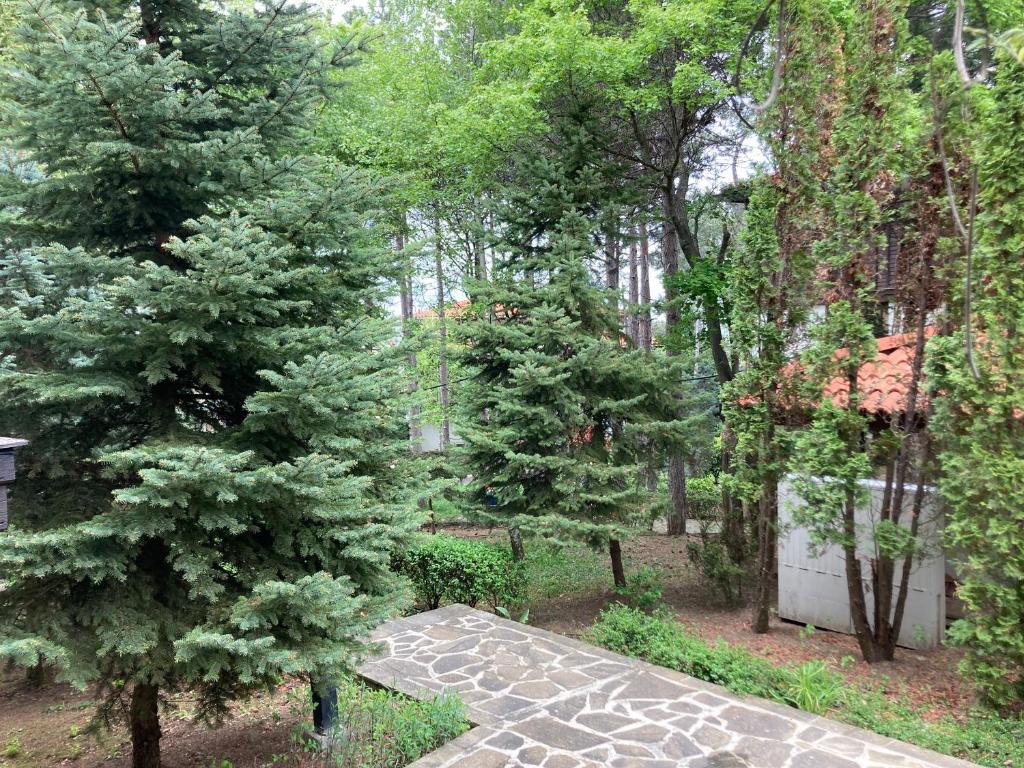 Kép Lovely apartment Santa Marina Sozopol szállásáról Szozopolban a galériában