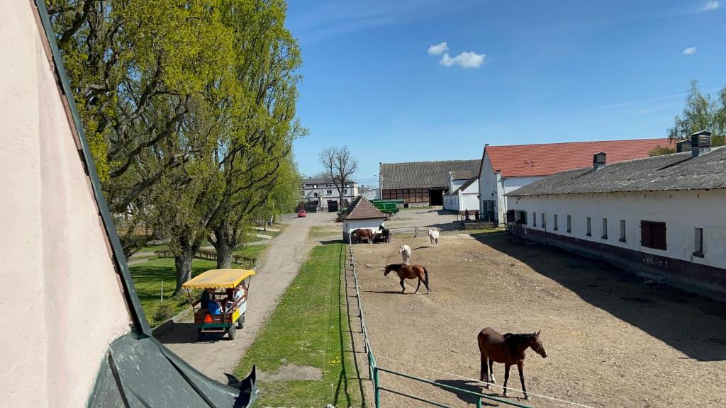 Okolí prázdninového areálu