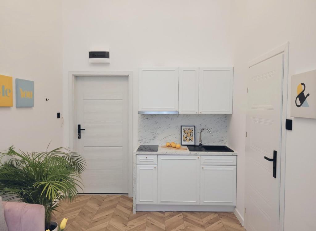 Kuchyň nebo kuchyňský kout v ubytování Narutowicza 41 Apartments