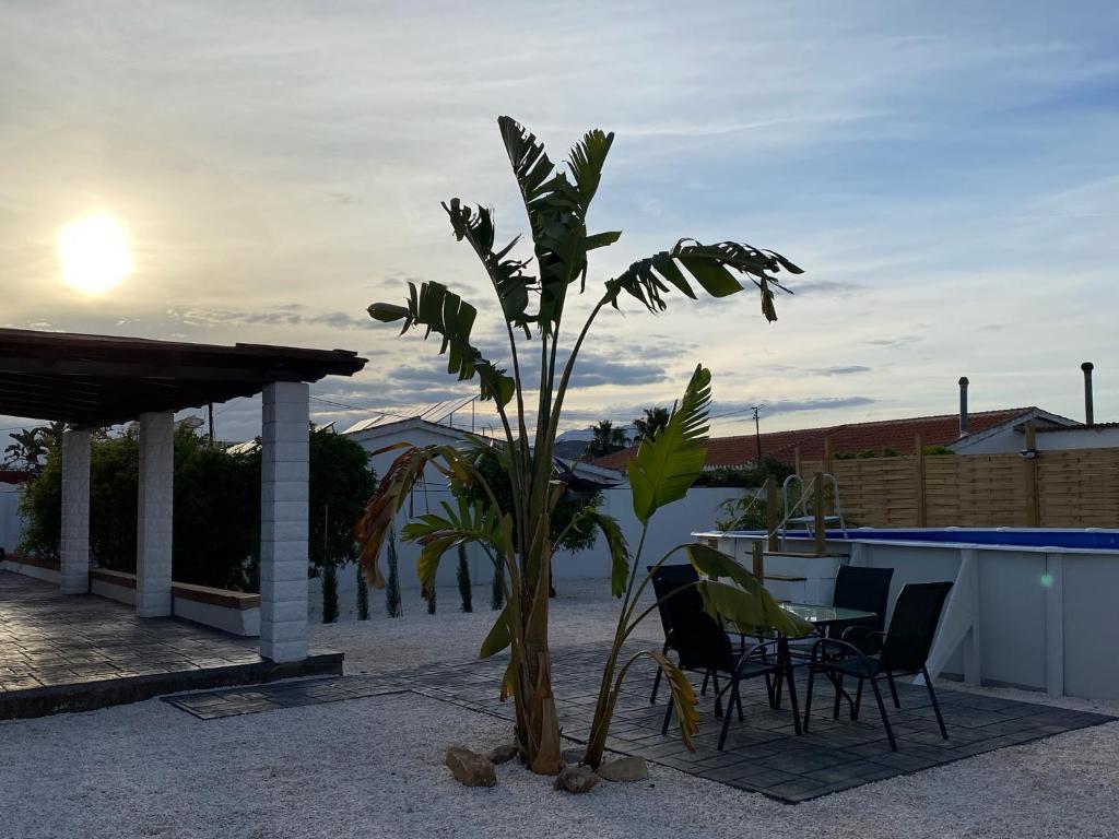 a palm tree sitting next to a table and chairs at Casa Mama in Alhaurín el Grande