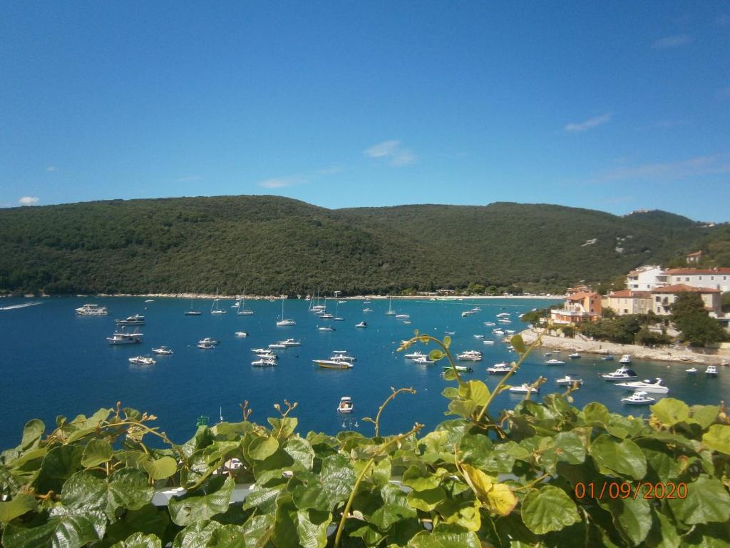 uma vista para um porto com barcos na água em Apartments Sea and Sun em Rabac