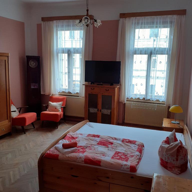 sypialnia z łóżkiem i telewizorem z płaskim ekranem w obiekcie Apartma Františkovy Lázně we Franciszkowych Łaźniach