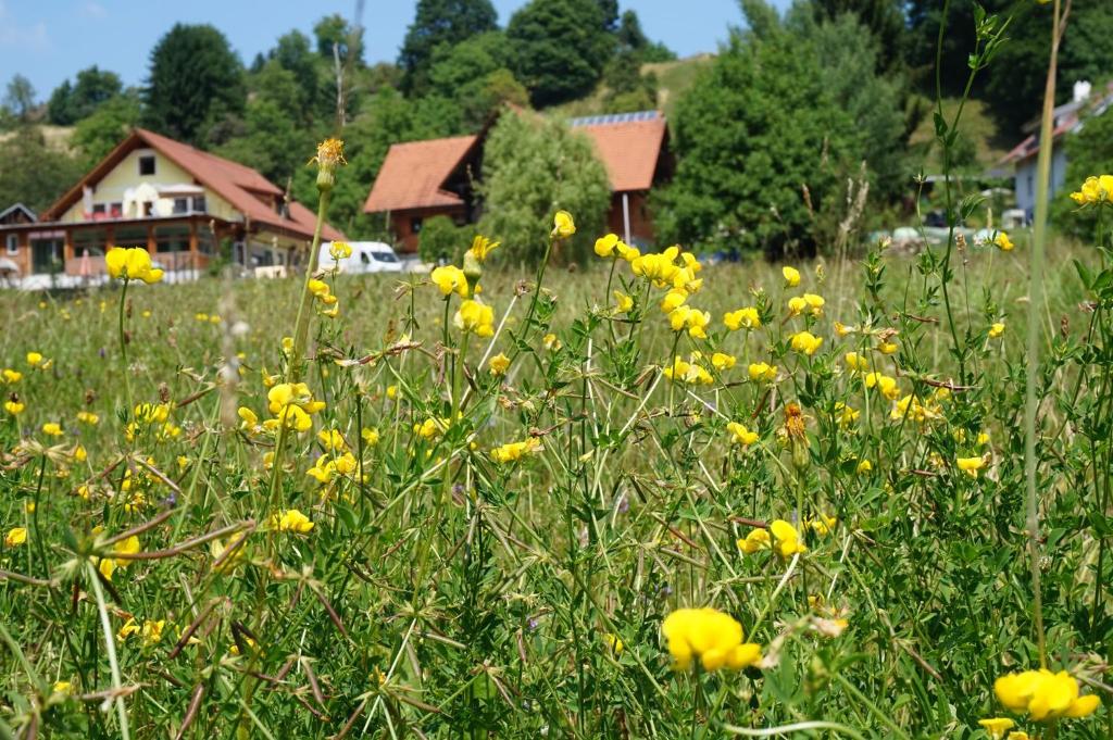 um campo de flores amarelas em frente a uma casa em Seminar- und Erlebnishof Das schwarze Schaf em Bad Gams