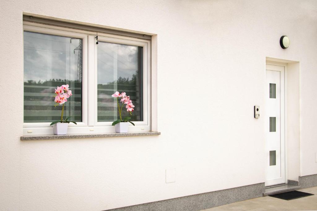 Fotografia z galérie ubytovania Apartment Jurić v destinácii Pula