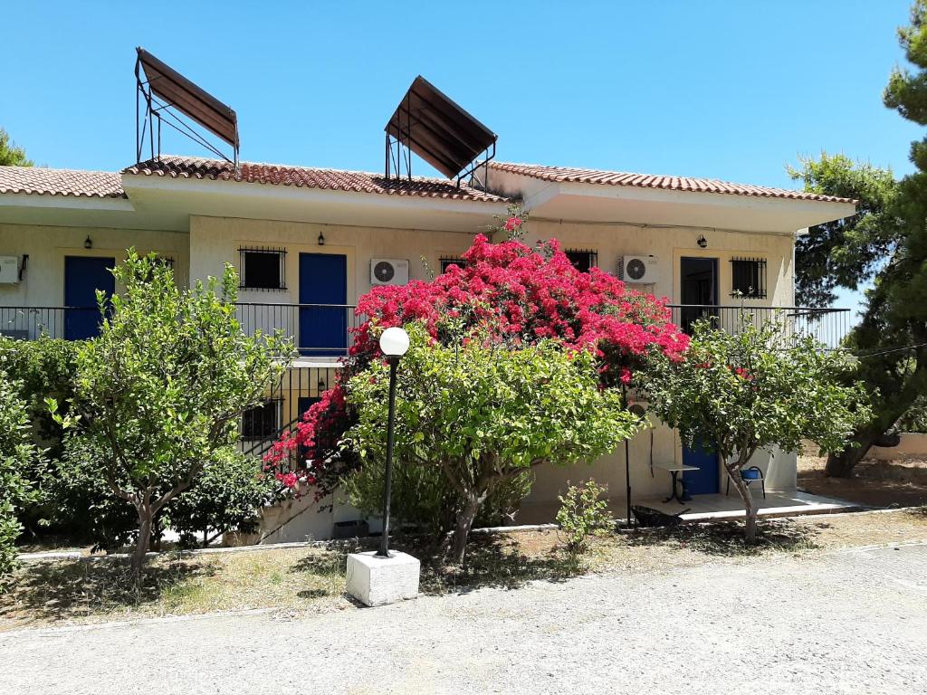 dom z różowymi kwiatami przed nim w obiekcie Helen's appartments w mieście Galaxidi