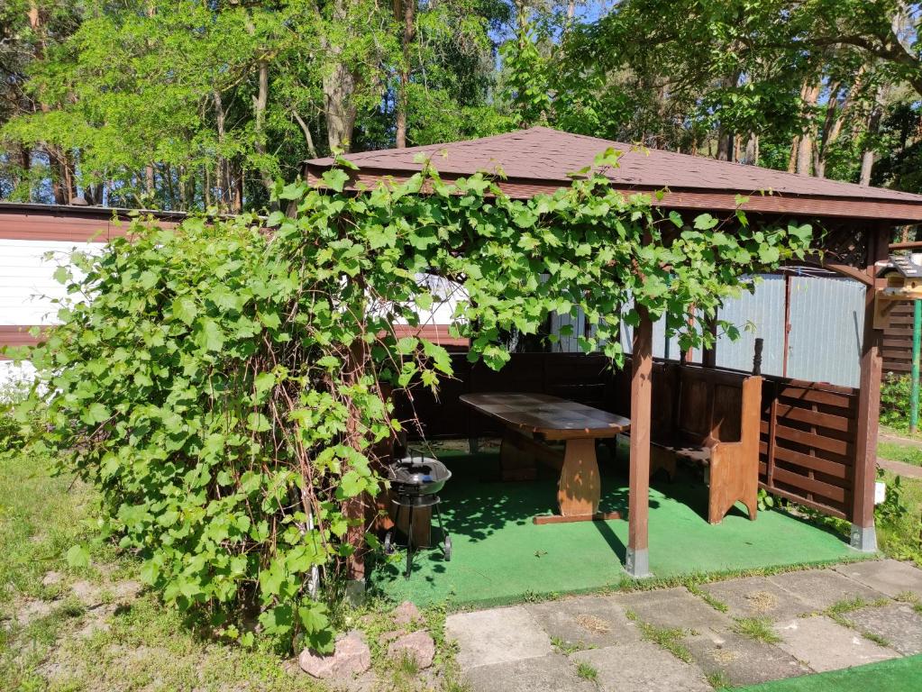 Zahrada ubytování Villa Joanna