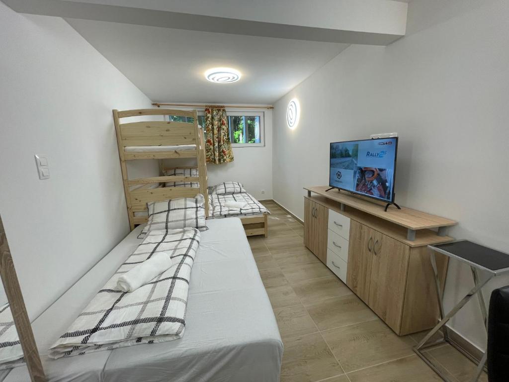 Pokój wieloosobowy z 2 łóżkami piętrowymi i telewizorem w obiekcie Fesztivál Balaton parti Apartman w Balatonföldvárze