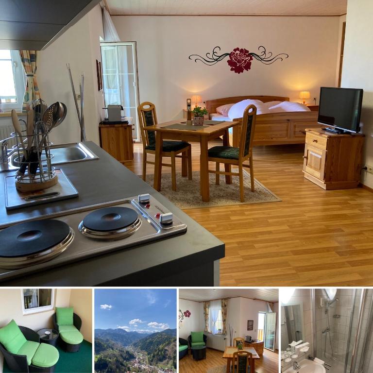 TV a/nebo společenská místnost v ubytování Motel Brunner Apartments & Zimmer