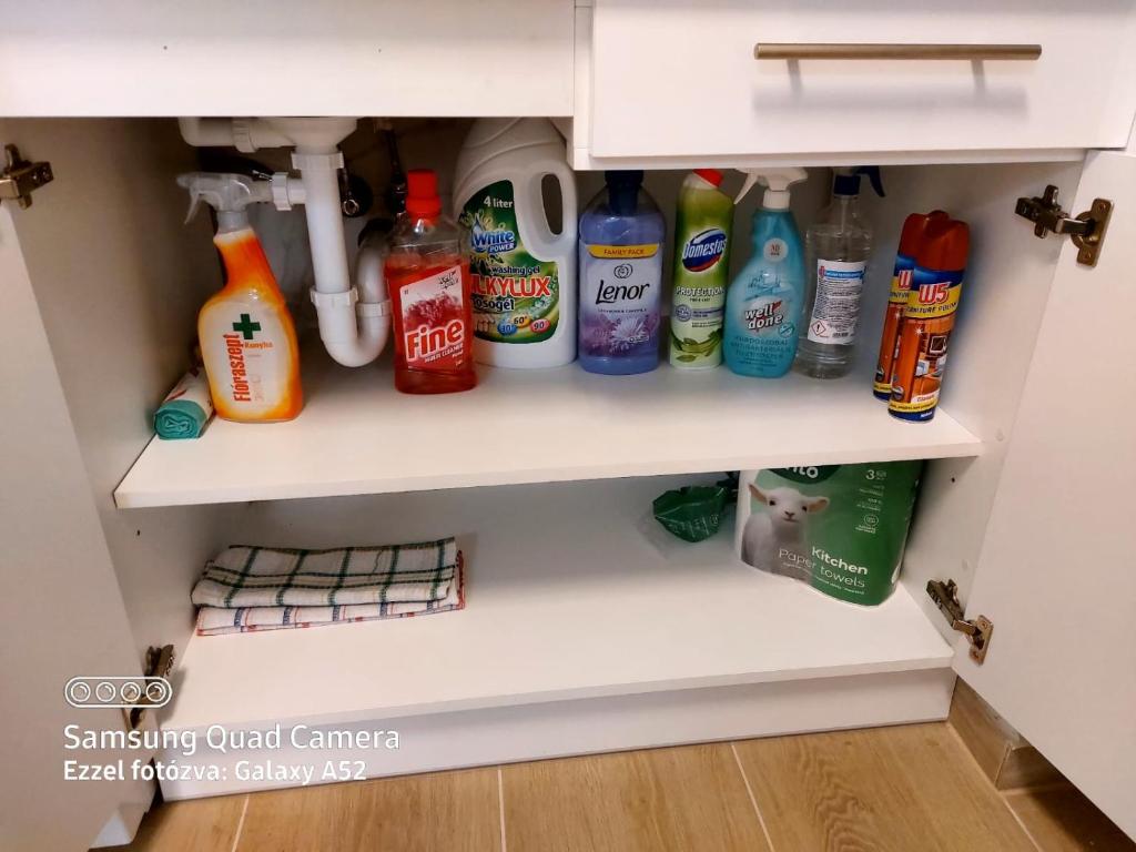 Kuchnia lub aneks kuchenny w obiekcie Fesztivál Balaton parti Apartman