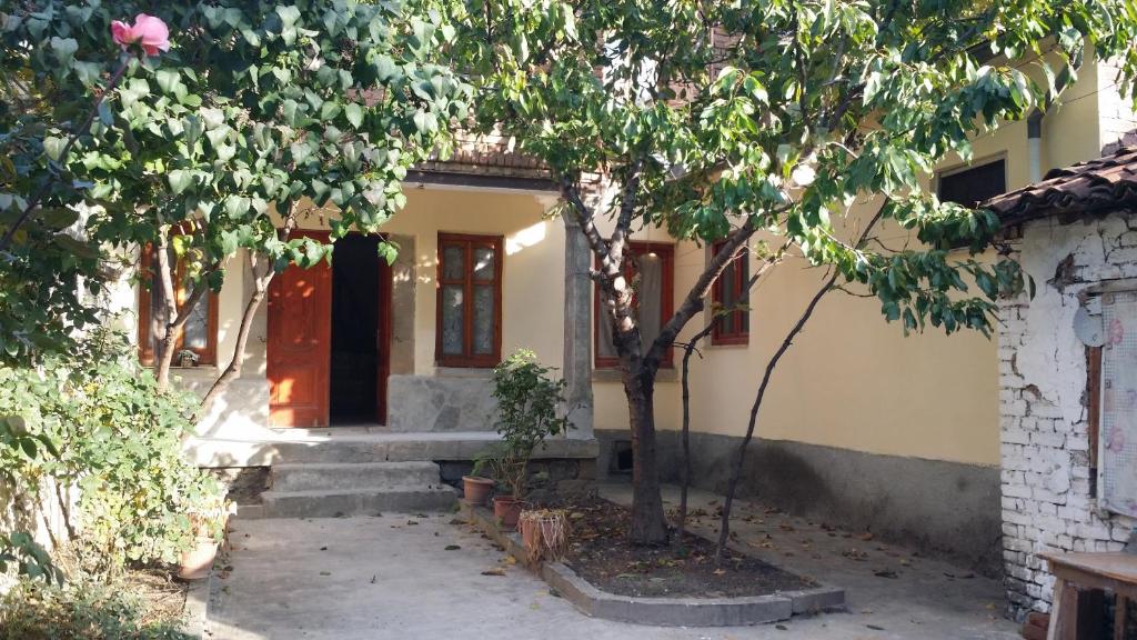 uma casa com uma árvore em frente em Vila 1926 Hostel em Korçë