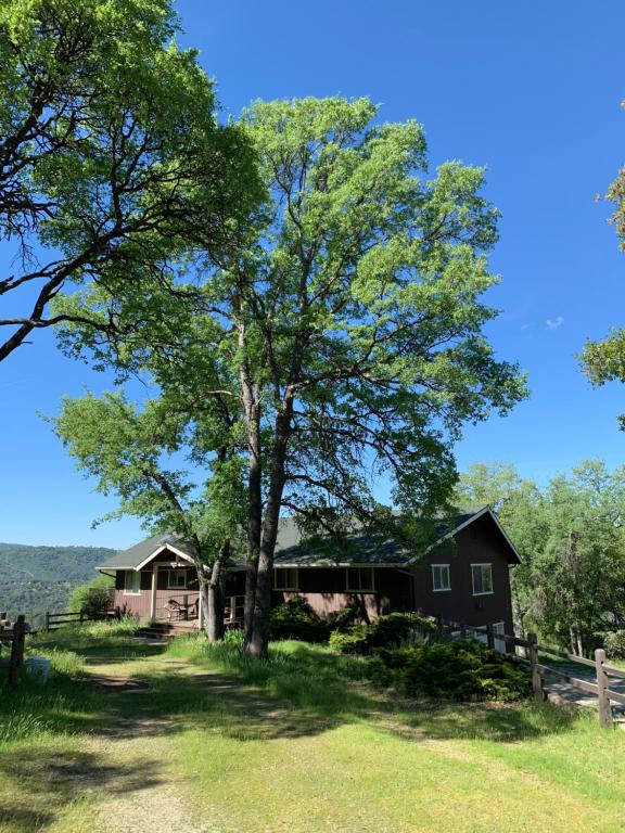 uma grande árvore em frente a uma casa em Heavenly Gateway to Yosemite & Bass Lake em Oakhurst