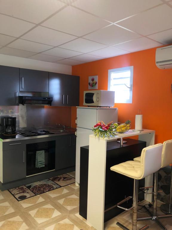 Kuchyň nebo kuchyňský kout v ubytování Habitations Amédée