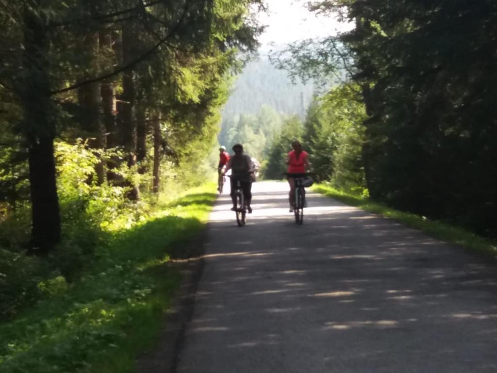 a group of people riding bikes down a road at Černá v Pošumaví Apartmán in Černá v Pošumaví