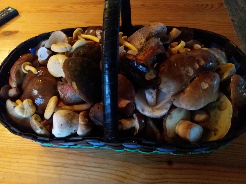 a bowl filled with different types of mushrooms on a table at Černá v Pošumaví Apartmán in Černá v Pošumaví