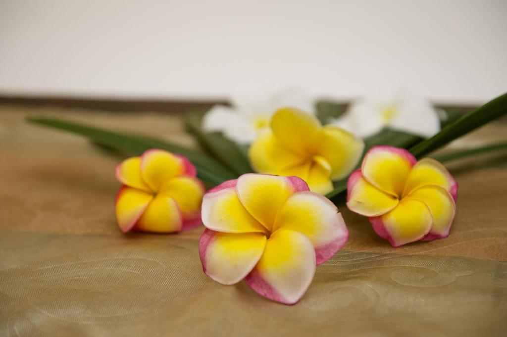 Anantara Vacation Club Legian - 14